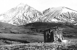 Kononov A.