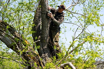 Bears: how not to bother them? Research continues in South Kamchatka Federal Reserve. . Фото 6