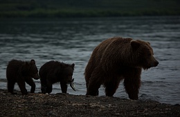 Photo: D. Budkov