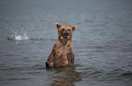 Photo: D. Budkov