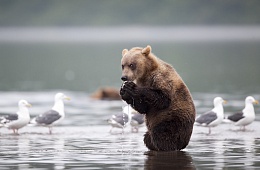 Photo: N. Zinoviev