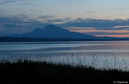 Photo: I. Shpilenok