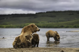 Photo: N. Zinoviev