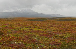 Photo: Y. Kalinin "Krasheninnikov Volcano".