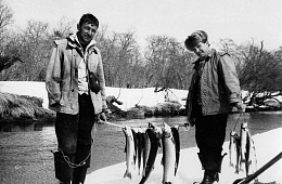 The brown trout and loaches