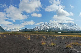 Photo: Y. Kalinin "Krasheninnikov Volcano".