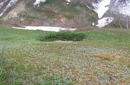 Kronotsky reserve