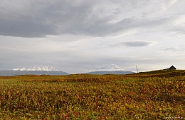 The Koshelev and kambalny volcanoes and the Kordon estuary of the Kambalnaya river. Photo: P. Shpilenok