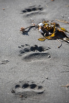 Attributes of children's holidays continue to threaten the inhabitants of the ocean. Фото 2