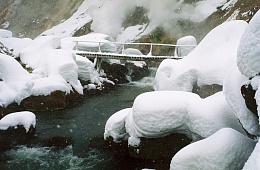 Photo: V. Lazarev "the Geysernaya river''