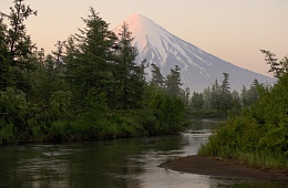 Photo: I. Shpilenok ''Larch river''