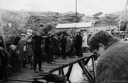 At the fish processing plant