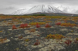 Photo: Y. Kalinin "Krasheninnikov Volcano".
