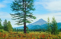 Photo: Y. Kalinin " Kizimen Volcano''