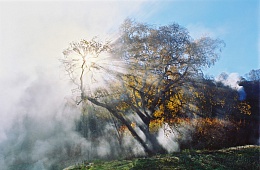 Photo: V. Lazarev 