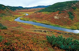 Photo: I. Shpilenok " Upper reaches of the Shumnaya river»