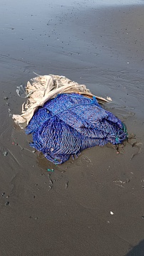 Attributes of children's holidays continue to threaten the inhabitants of the ocean. Фото 6