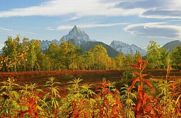 Photo: Y. Kalinin " Unana Volcano''