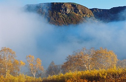 Photo: V. Lazarev "Morning fog-a gift of geysers".