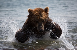 Photo: D. Budkov