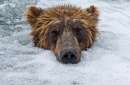 Photo: S. Gorshkov