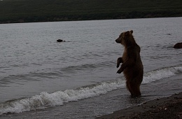 Photo: D. Budkov
