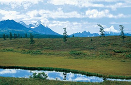 Photo: Y. Kalinin "The valley of the river Storozh''