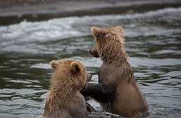 Photo: D. Budkov