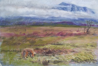 Project team “Kamchatka. The Foxes Tale” makes the film's main characters suspicious. Фото 1